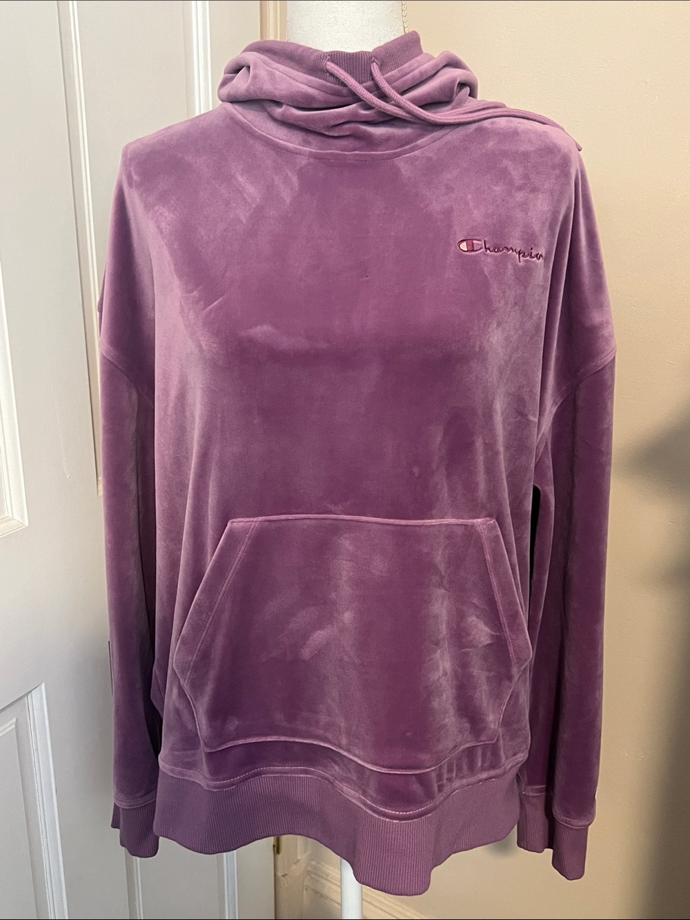 Champion Velvet Hoodie in Light Purple